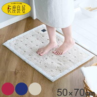 バスマット 乾度良好 Ag+ クリーンフット 50×70cm ( マット バス用品 速乾 吸水速乾 Ag抗菌 抗菌 銀イオン 足拭きマット 足ふきマット お風呂マット 浴室マット 除菌 吸水 洗える )