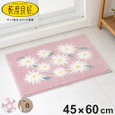 バスマット 乾度良好 45×60cm 速乾 ( お風呂マット マット 吸水 抗菌 防臭 洗濯OK 足ふきマット 45×60 デイジー お風呂 バスグッズ 浴室 脱衣所 足拭き )