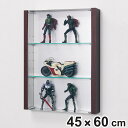 コレクションケース 45×60cm 置き掛け両用 4段 フィギュア L4011 （ ケース アクリル ボックス 収納 ディスプレイ 保管 透明 棚 棚板 可動式 2way 可動棚 壁 壁面 収納ケース 収納ボックス 飾り棚 ディスプレイラック 壁面収納 ）