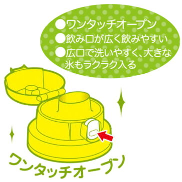 子供用水筒　ヒミツのここたま　直飲みプラワンタッチボトル　600ml　プラスチック製 （ 軽量 プラボトル ダイレクトボトル ひみつのここたま 秘密のここたま すいとう キャラクター ）