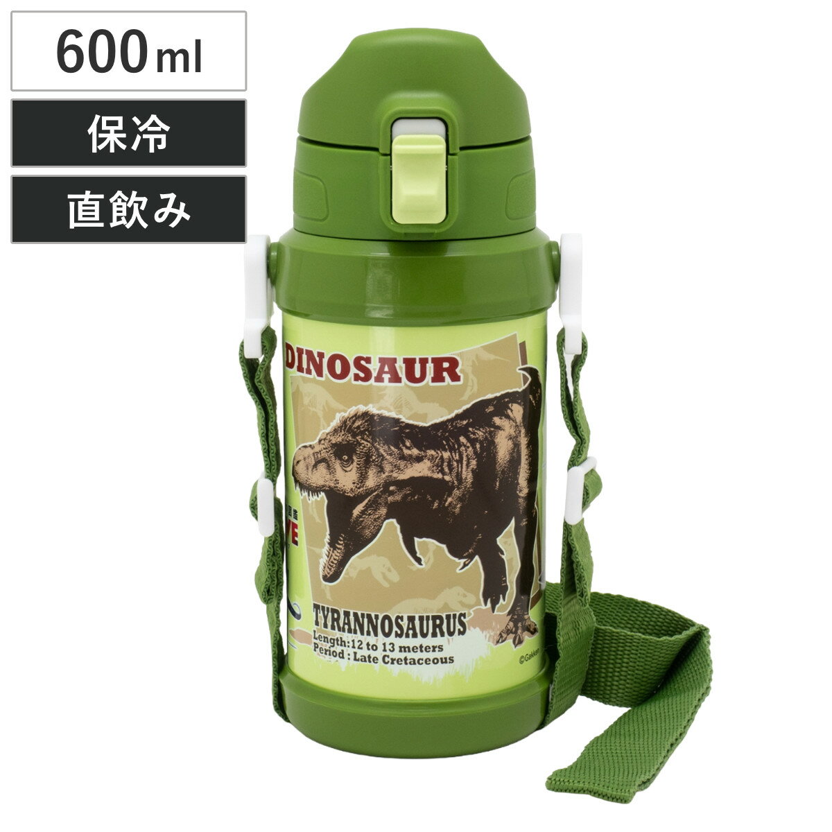 Rakuten - 水筒 600ml ダイレクトステンレスボトル 学研の図鑑LIVE （ 直飲み 保冷専用 ステンレスボトル ダイレクトボトル ワンタッチ 子供 子供用水筒 保冷 キッズボトル ワンプッシュ 幼稚園 保育園 キッズ ）