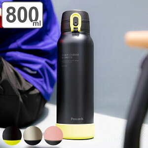 小学生の水筒 男子向けおしゃれな直飲みステンレスボトル 800ml のおすすめランキング わたしと 暮らし 小学生の水筒 男子向けおしゃれな直飲みステンレスボトル 800ml のおすすめランキング わたしと 暮らし