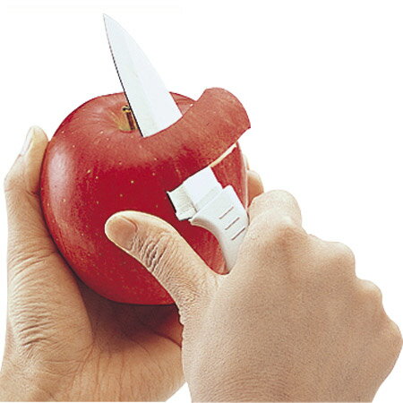 果物ナイフ さや付きフルーツナイフ 包丁 中 ステンレス製 （ 果物包丁 ぺティナイフ ほうちょう ）