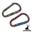 カラビナ Dカラビナ アウトドア キャプテンスタッグ CAPTAIN STAG ( キーリング Dリング D型カラビナ カラビナキーホルダー 鍵 キー 車 家 ...