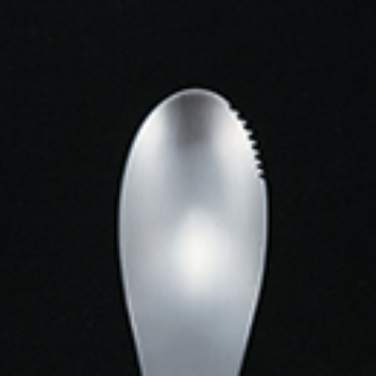 スプーン 18cm ライン ステンレス （ 食洗機対応 カトラリー ステンレス製 キャンプ用品 アウトドア用品 カラビナ付き アウトドア キャンプ バーベキュー 持ち運び 軽い ） livingut-10180760 リビングート 楽天市場店 サンプル画像3