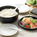 寿司桶 すしパーティー プラスチック 手巻き寿司 5点セット ( 3合 すし 桶 おけ 飯台 すし桶 しゃもじ 日本製 手巻き寿司セット 食器 お皿 オードブル皿 パーティー 大皿 しゃもじ付き )