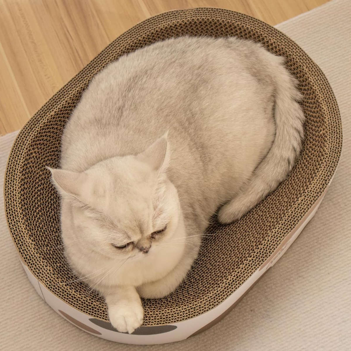 爪とぎ 楕円ボウル 三毛 猫 段ボール ( 爪...の紹介画像3