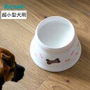 フードボウル こぼれにくい 脚付ドッグディッシュ SS ( リッチェル ペットボウル 脚付き 高さがある 犬 超小型犬 ペット用 餌皿 エサ皿 食べやすい ペッ...