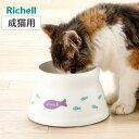 フードボウル こぼれにくい 脚付キャットディッシュ S ( リッチェル ペットボウル 脚付き 高さがある 猫 成猫用 ペット用 餌皿 エサ皿 食べやすい ペット用食器 えさ入れ 猫用 滑り止め付き ペット用品 )