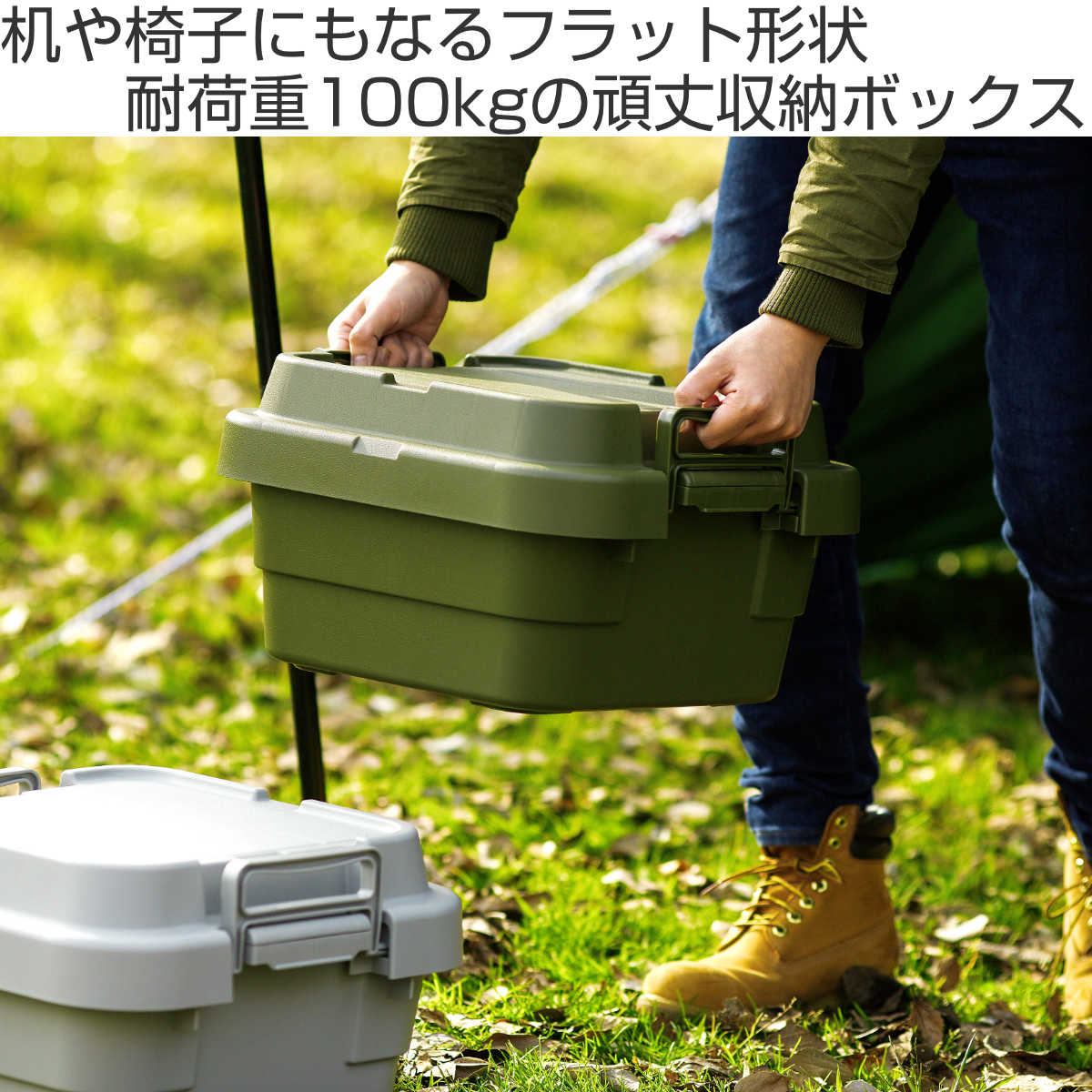 トランクカーゴTC-30S LOW （ 幅40×奥行39×高さ24cm 収納ボックス ロー トランクカーゴ コンテナ 日本製 座れる 頑丈 収納ケース 収納 ボックス フタ付き ケース 工具箱 プラスチック おしゃれ アウトドア スタッキング キャンプ ）