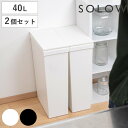 ゴミ箱 40L SOLOW 袋の交換が楽なダストボックススリム 同色2個セット （ ソロウ ごみ箱 40リットル ふた付き スリム 袋交換 簡単 分別 同色 2個セット 防汚加工 抗菌加工 キャスター付き シンプル ホワイト ブラック 日本製 ）