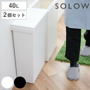 ゴミ箱 40L SOLOW 袋の交換が楽なダストボックスワイド 同色2個セット （ ソロウ ごみ箱 40リットル ふた付き ワイド 袋交換 簡単 分別 同色 2個セット 防汚加工 抗菌加工 キャスター付き シンプル ホワイト ブラック 日本製 ）