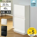 【レビュー特典付き】 ゴミ箱 SOLOW 分別ストッカー 1段 2段 ( ごみ箱 45リットル22.5リットル ソロウ ペダル式 フラップ式 ふた付き 分別 スリム キャスター付き 幅45 キッチン 角型 ホワイト ブラック シンプル おしゃれ 抗菌 )