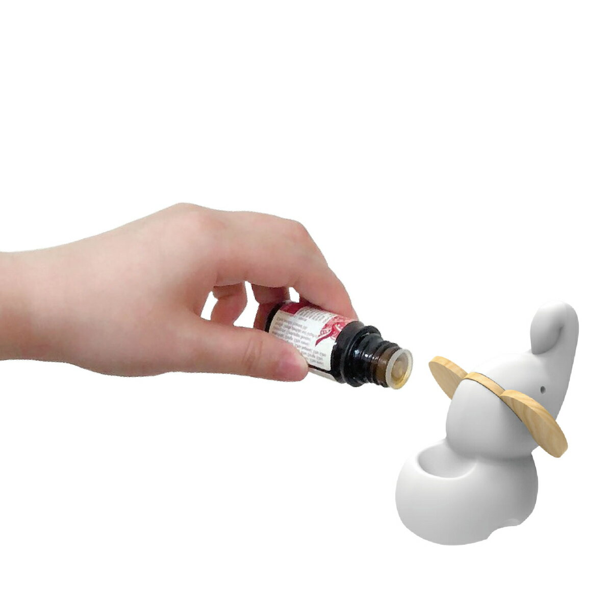 �����ޥ��ȡ��� ���ץꥯ�� ưʪ �� ������ ������ ��� ˧��� ������ ���� �ȥʥ��� ���� ���襤�� �ɤ��֤� �ۥ磻�� ���֥��� �� �֤�ʪ ����ƥꥢ ���� ��� �Ÿ����� �ŵ����� ���� ���å��� ���� ���� ��