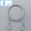 ステンレスカットワイヤー 2mm×150cm 2本1組 両端リング加工 ( ワイヤー カットワイヤー ステンレス製 落下防止 ステンレス 両端リング 落下 脱落...