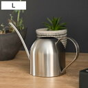 ジョーロ ドーム L 約960ml 水差し ( ジョウロ じょうろ 如雨露 散水 水やり 水さし おしゃれ ミニ 水挿し 観葉植物 ピッチャー ステンレス ステ...