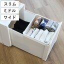 コンビネーションケース トレー 収納ケース 専用トレー ( インナートレー オプション パーツ 専用 収納 小物 小物入れ 小物収納 小物ケース インナーボックス トレイ ケース ボックス 仕分け 整理整頓 整理 整頓 片付け )