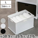 収納ボックス 収納ケース ナチュラ インボックス L プラスチック 日本製 同色3個セット （ 小物入れ 収納 カラーボックス インナーボックス おもちゃ箱 コンテナ 積み重ね スタッキング 小物収納 インナーケース ケース ボックス ）