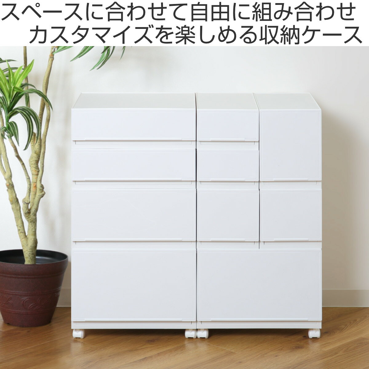 収納ケース 幅37.6×奥行35.8×高さ25cm 同色3個セット コレクトケース Lワイド 1段 ...