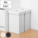 ゴミ箱 40L 組み立て ダンボール 2台入り ( ごみ箱 40リットル 2個入り段ボール ふた付き スリム 分別 簡易 アウトドア 使い捨て 屋内 屋外 コン...