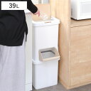 ゴミ箱 39L 分別 二段 ダストボックスファイン ( ごみ箱 38リットル 縦型 スリム 2分別 ふた付き プッシュ式 省スペース シンプル ダストボックス 袋止め付き 袋が見えにくい キッチン )