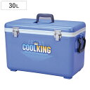 クーラーボックス 30L クールキング 30D ( 保冷 クーラーBOX 保冷ボックス クーラーバッグ 冷蔵ボックス 30リットル クーラー ボックス BOX ...