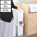 ゴミ箱 39L 分別 二段 ダストボックスファイン ( ごみ箱 38リットル 41リットル 47.5リットル 縦型 スリム 2分別 ふた付き プッシュ式 省スペ...
