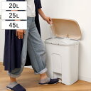 ゴミ箱 20L 25L 45L ペダルペール フック付き ポケット付き ( 20 リットル 25リットル 45リットル ふた付き キッチン ごみ箱 ペダル式 分別 袋止め フック レジ袋 サイドポケット付き くず入れ くず箱 シンプル プラスチック )