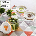保存容器 530ml マイデリカ キーパー M 同色2個セット ( ガラス 密閉 バルブ付き 漬物容器 キャニスター ガラス容器 保存びん ガラスジャー ガラスキャニスター 保存 保管 容器 瓶 ビン ピクルス作り シリコンパッキン付き )