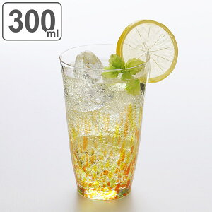 タンブラー グラス 300ml 水の彩 陽の彩 クリスタルガラス ファインクリスタル ガラス コップ 日本製 （ 食洗機対応 ガラスコップ カップ ガラス製 カクテルグラス ロング ビールグラス ビアグラス おしゃれ ）