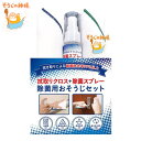 【在庫処分特価】除菌スプレー 除菌用 おそうじセット クロス付き そうじの神様 ( LH17669 スプレー クロス ウィルス対策 抗菌 除菌 天然由来 大豆脂肪酸 除菌クリーナー 洗浄 部屋 掃除 ウィルス 菌 細菌 対策 消臭 弱アルカリ性 )