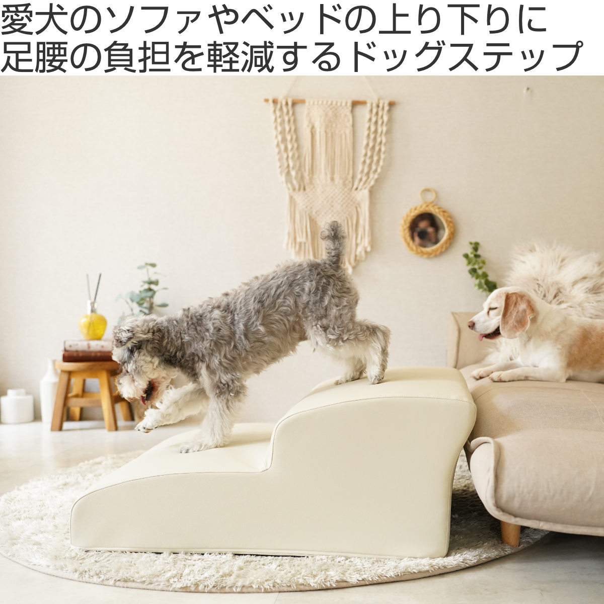 ドッグステップ ワイド 2段 小型犬用 階段型ソファ （ ペットソファ ペット ステッ...