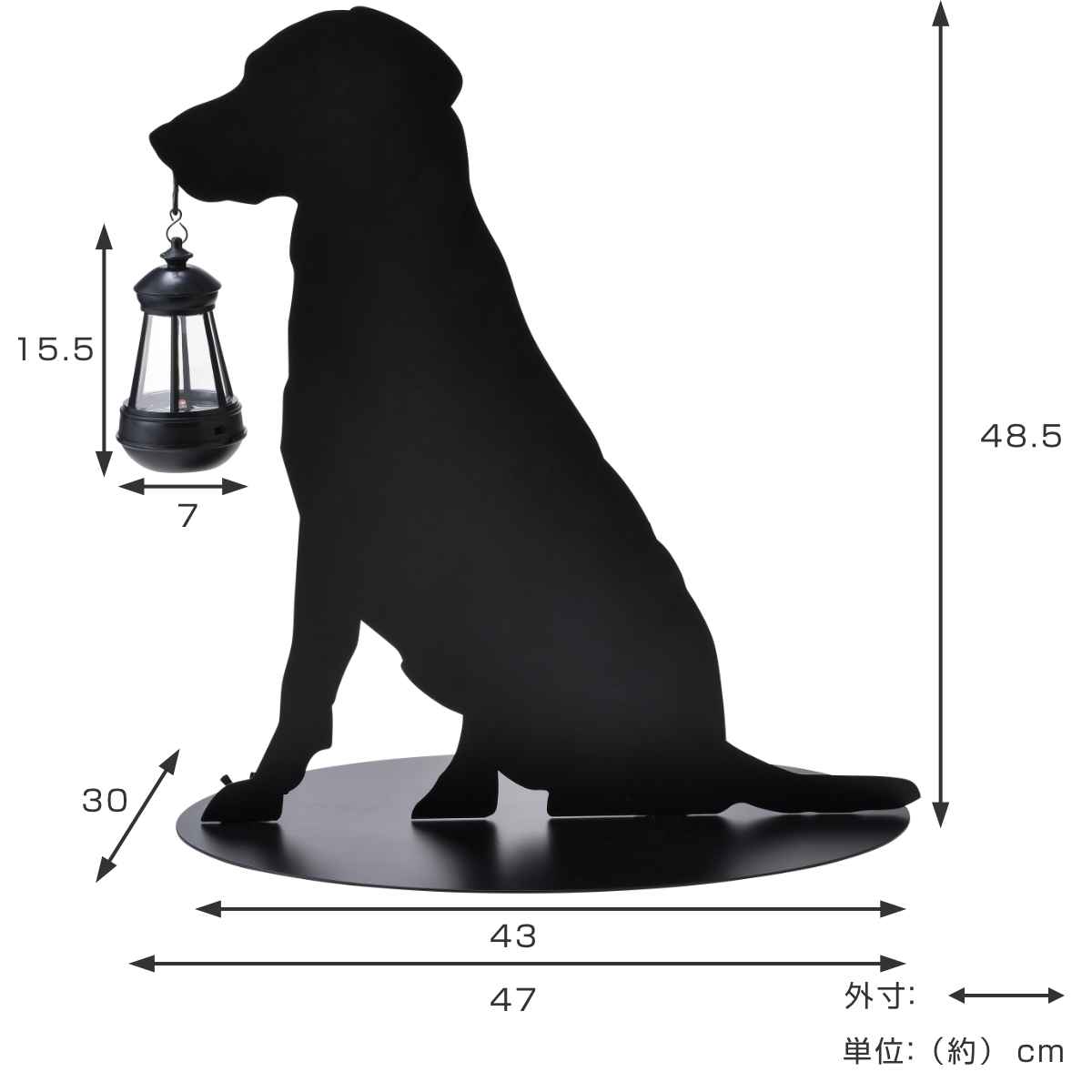 �����顼�饤�� ���륨�åȥ����顼 �ɥå� �� ����̵�� LED �� ���륨�å� �����ǥ�饤�� ���֥��� �����ʥ��� �����ǥ󥪥֥��� �����顼�����ʥ��� �����顼 �饤�� ��