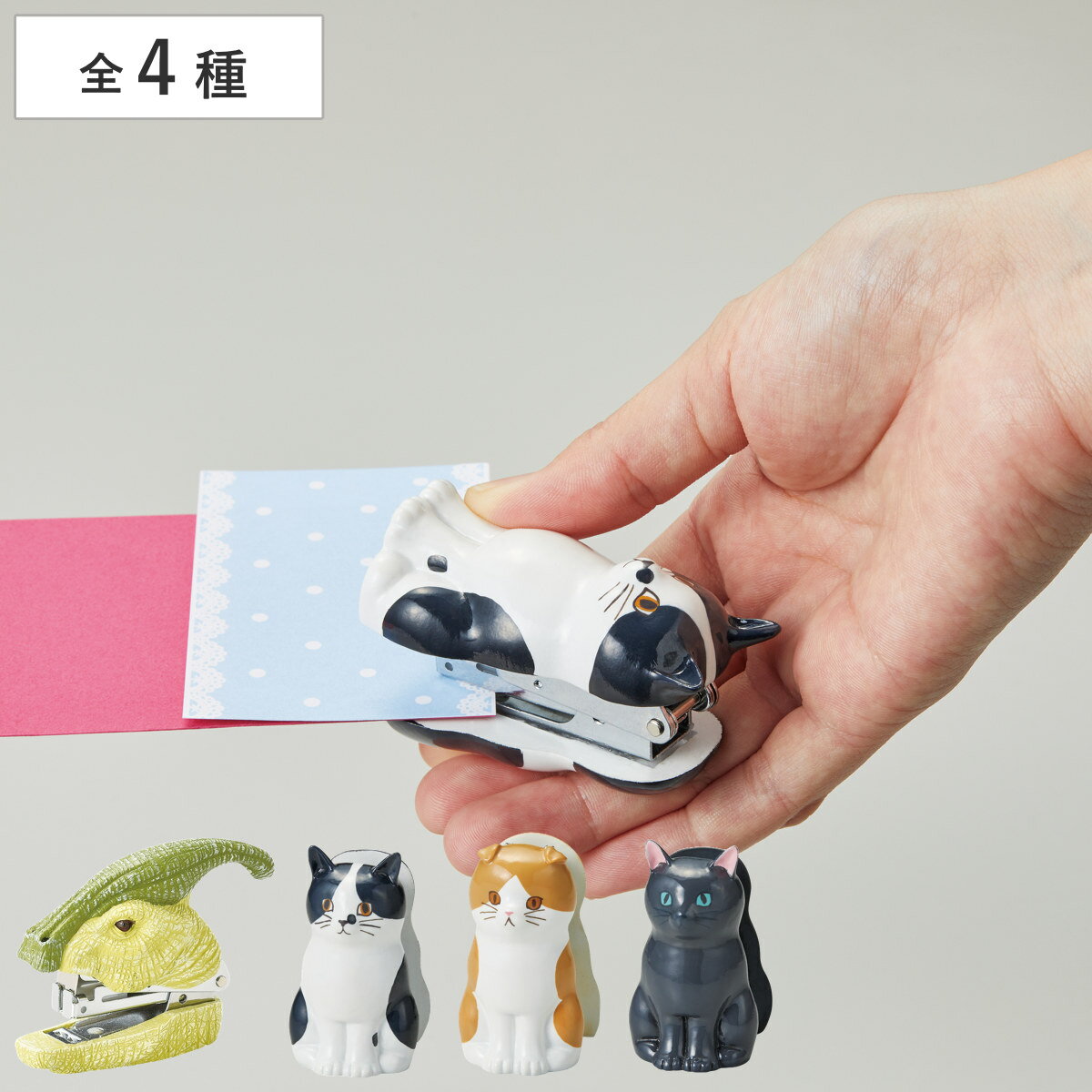 ���ơ��ץ顼 �ۥå����� ��ε ���� �ͥ� ʸ˼�� �� �ۥ����� ��̳���� ���ե��� ʸ�� ��� ���� ���� �ץ쥼��� ������ �������� ���ơ�����ʥ꡼ ��...