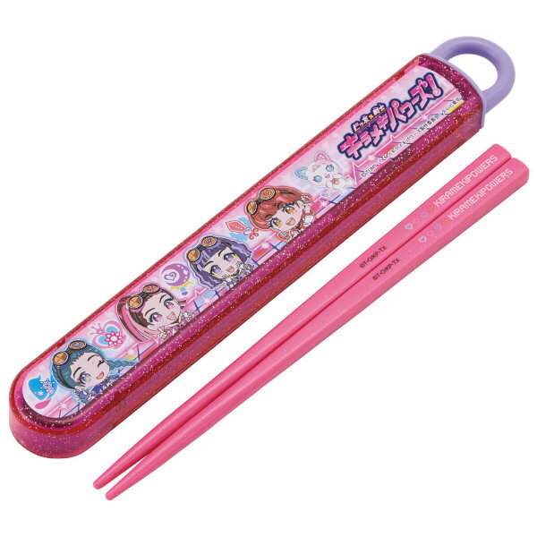 箸箱セット 抗菌 16.5cm 箸 箸箱 ビッ友×戦士 キラメキパワーズ! ( 食洗機対応 お箸 AG 銀 キッズ 日本製 食洗機OK 抗菌加工 カトラリー お...