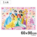 レジャーシート 60×90cm プリンセス24 Sサイズ ( プリンセス レジャーマット ピクニックシート 幼稚園 保育園 遠足 子供用 一人用 ピクニックマッ...