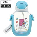 【先着】最大400円OFFクーポン有！ 水筒 530ml ワンプッシュストローボトル DRラインデザイン （ ドラえもん ワンプッシュ ストロー ボトル プラスチック ストロー付き 軽量 直飲み こども マイボトル クリアボトル 透明 クリア シリコン ワンタッチ キッズ ）