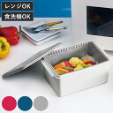 スチーム調理器 電子レンジ対応 保存容器 ( 電子レンジ 蒸す 蒸し野菜器 魚 容器 レンジ調理 電子レンジ調理器具 時短 野菜 蒸し器 ヘルシー 火を使わない...