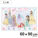レジャーシート S プリンセス25 ( ディズニー レジャーマット ピクニックシート 幼稚園 保育園 遠足 子供用 一人用 ピクニックマット キッズ 敷物 運動...