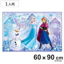 レジャーシート S アナと雪の女王25 ( ディズニー レジャーマット ピクニックシート 幼稚園 保育園 遠足 子供用 一人用 ピクニックマット キッズ 敷物 ...