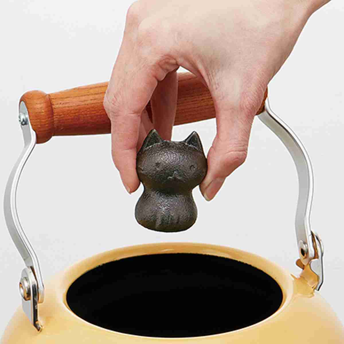 鉄玉 ねこっと 鉄分補給 （ 鉄玉子 鉄球 お鍋 ケトル やかん ヤカン 漬物 漬け物 色付け ツヤ出し つや..