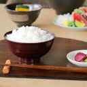 茶椀 12cm 飯椀 平筋 山中塗 プラスチック ( 食洗機対応 電子レンジ対応 お茶碗 ご飯茶碗 茶わん ライスボウル 抗菌加工 軽い 割れにくい プラスチッ...