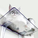 キャットステップ Cat Steps 壁 ワイドステップ 透明 クリア キャットウォーク ( 送料無料 キャットタワー ネコ ステップ ねこ 猫 壁面取り付け ...