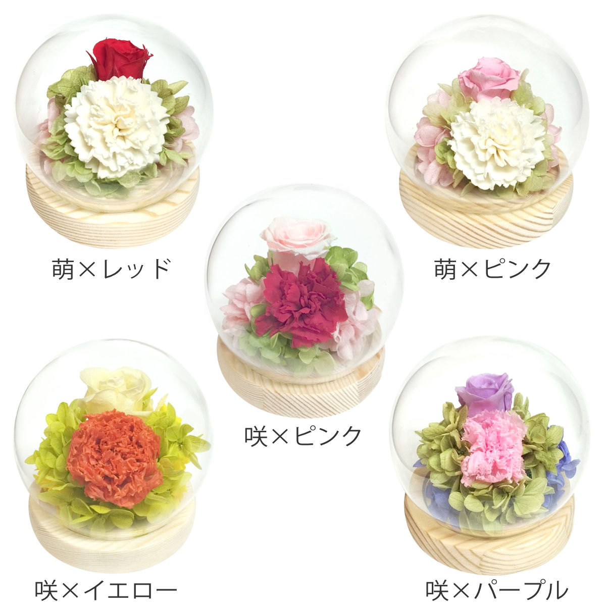 プリザーブドフラワー スフィアドームアレンジ ガラス ドーム ( 花 プレゼント フラワーギフト アレンジメント ガラスドーム 幅10cm コンパクト お花 母の日 インテリア 華やか 玄関 リビング 寝室 飾り ディスプレイ ) [2]