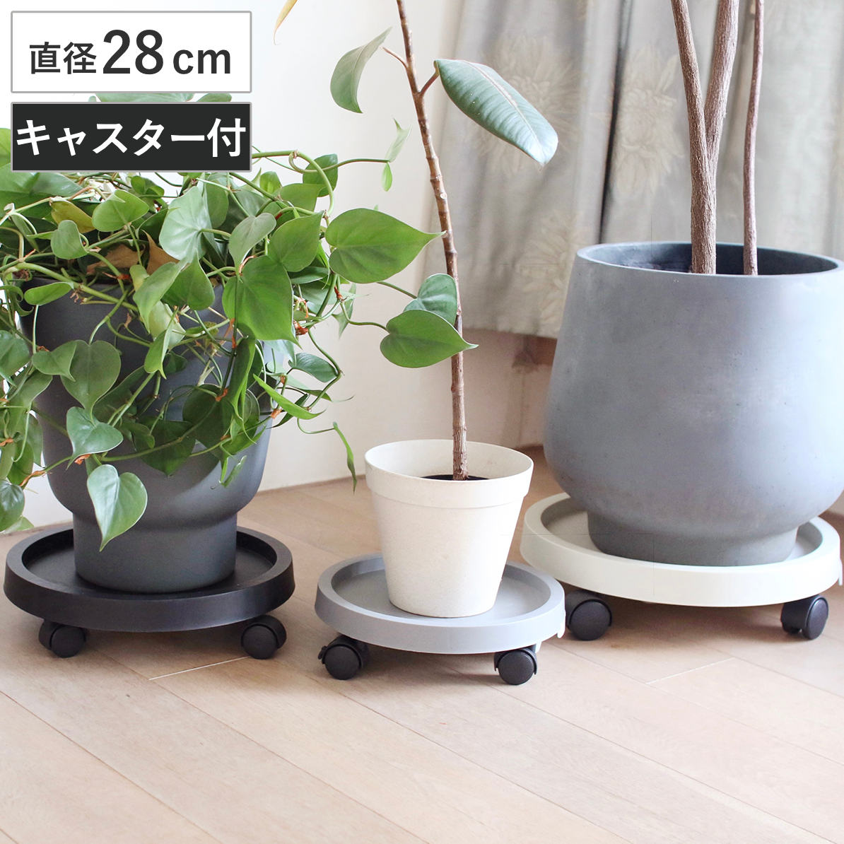 Rakuten - 花台 プラントムーブ 28cm （ プランター台 フラワーラック 飾り台 プランタープレート フラワー プレート 室内 飾る 鉢 台 丸型 キャスター付き 置く 植物 観葉植物 花 園芸 インテリア 受け皿 ）