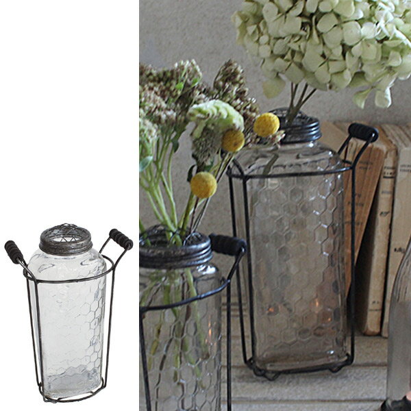 フラワーベース　アイアンボトルベース　Lサイズ （ 花瓶 花器 ガラス エアプランツ 多肉植物 ガーデン ）の写真