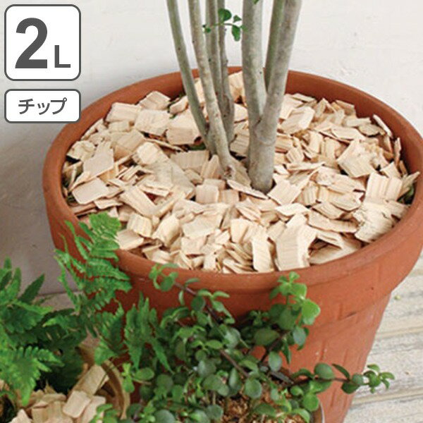 消臭 ヒノキ HINOKI CHIPS チップ 2L （ ウッドチップ 土かくし ガーデニング 天然木曽ヒノキ 観葉植物 檜 ひのき ）