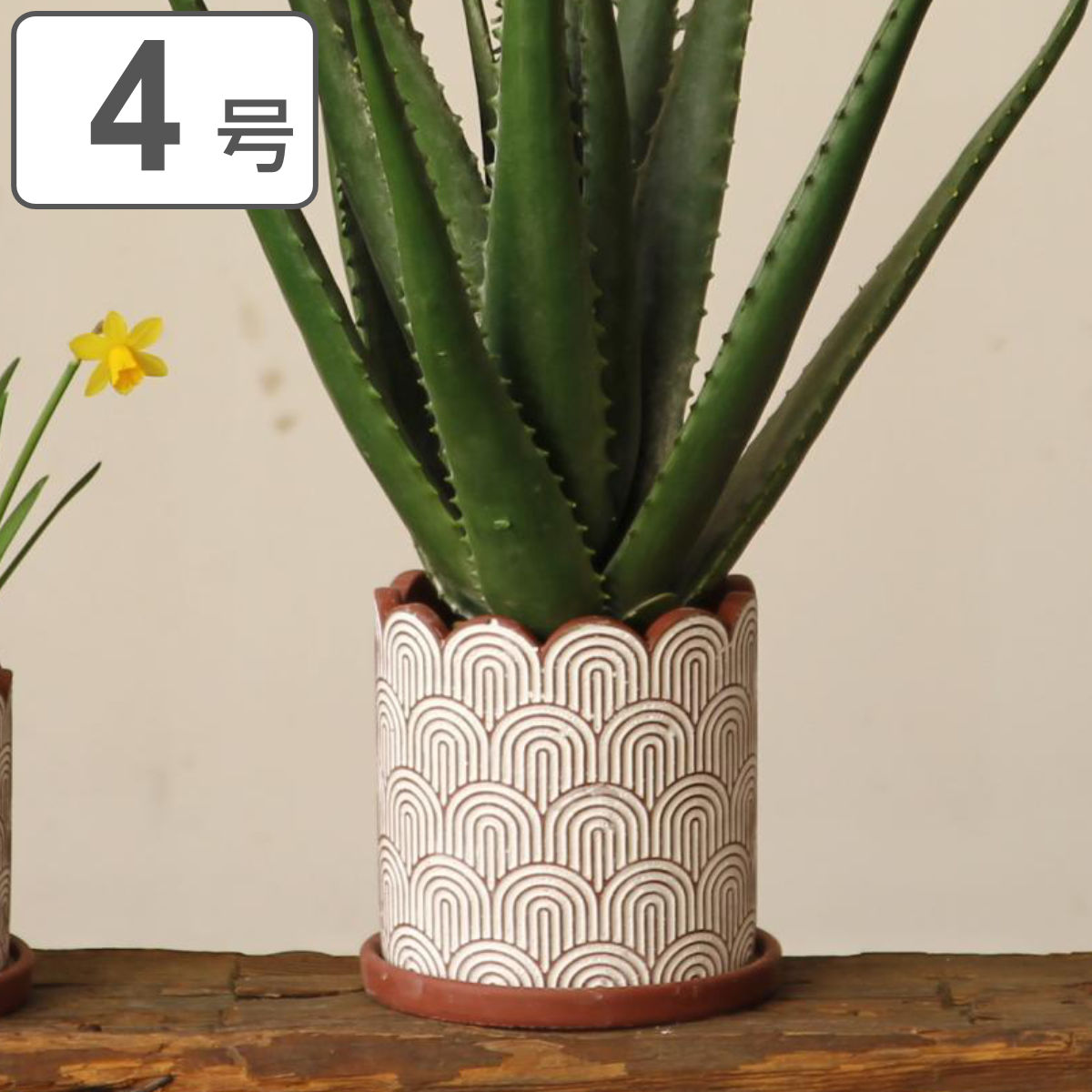 植木鉢 ホワイトラインプランター Mサイズ （ プランター プラントポット 植物用ポット 鉢 花器 鉢カバー ポット セメント 4号鉢 丸 植木鉢カバー ガーデンポット 花 水抜き穴付き 受け皿 植物 観葉植物 園芸 直植え おしゃれ ）