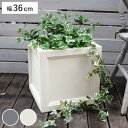 プランター マグネシウムプランター 幅36cm ( プランターカバー スクエア 36cm 植木鉢 鉢 底穴 屋外 外 家庭菜園 寄せ植え おしゃれ ポット 鉢カバー モダン ホテル 鉢植え 屋内 正方形 四角 大型 花 )