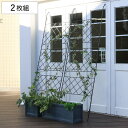 グリーンカーテン アイアン製グリーンカーテン アーガイル 2枚組 ( グリーンフェンス グリーン カーテン フェンス ガーデンフェンス おしゃれ ガーデニング ...